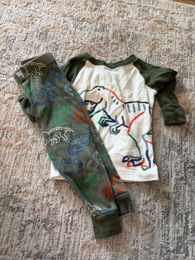 Kids Dinosaur Raglan Matching Set in Olive Green and White
